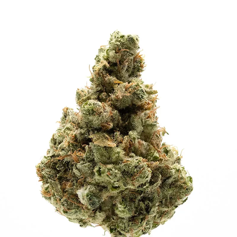 Chemdawg bud - The influential parent of chemical-fuel genetics and key to modern potency