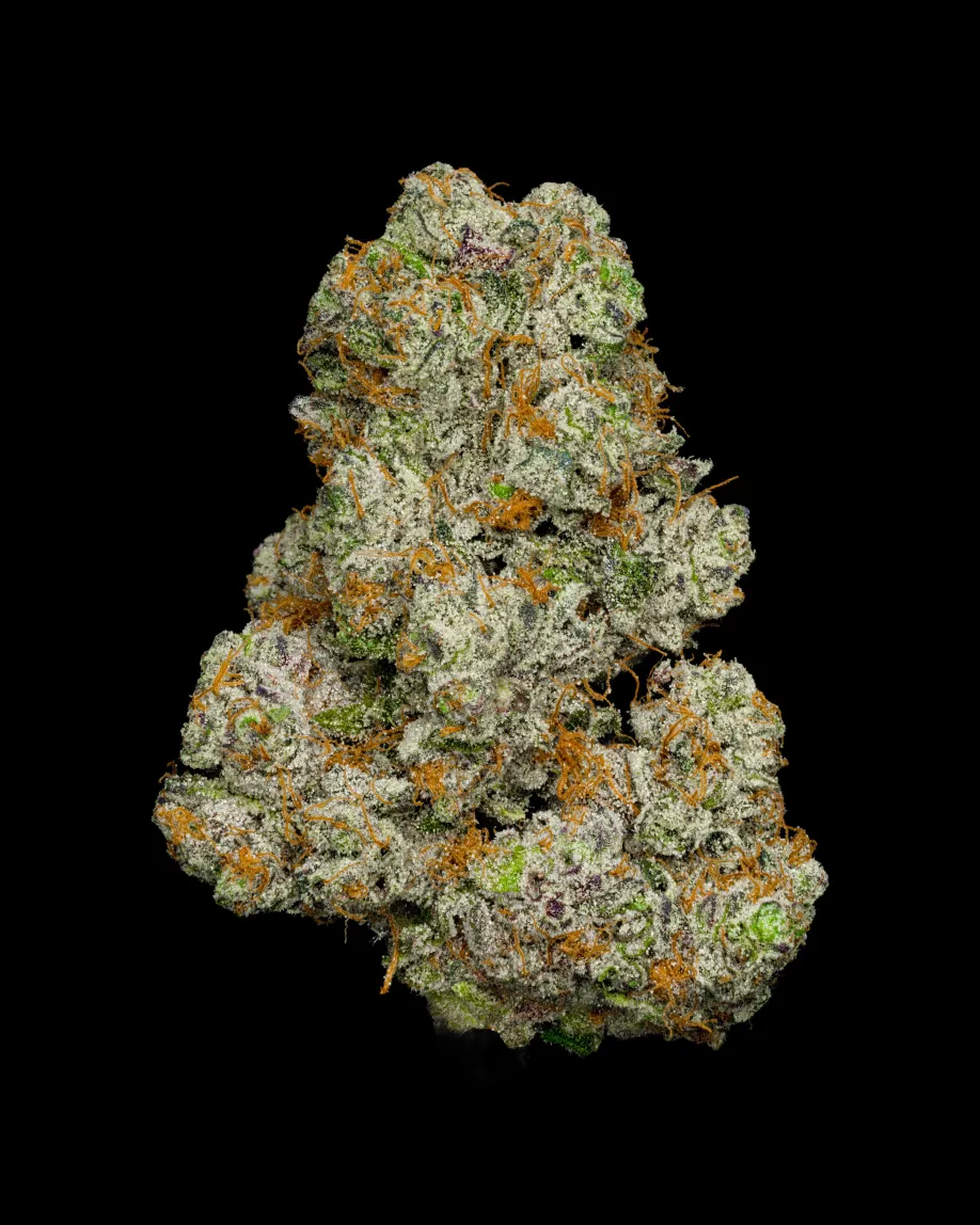 Girl Scout Cookies (GSC) bud - A flavor-focused hybrid that launched the modern dessert weed era