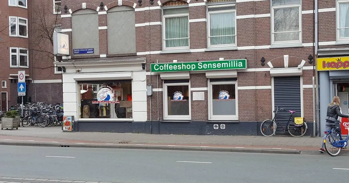 Sensi Shop Coffeeshop Amsterdam