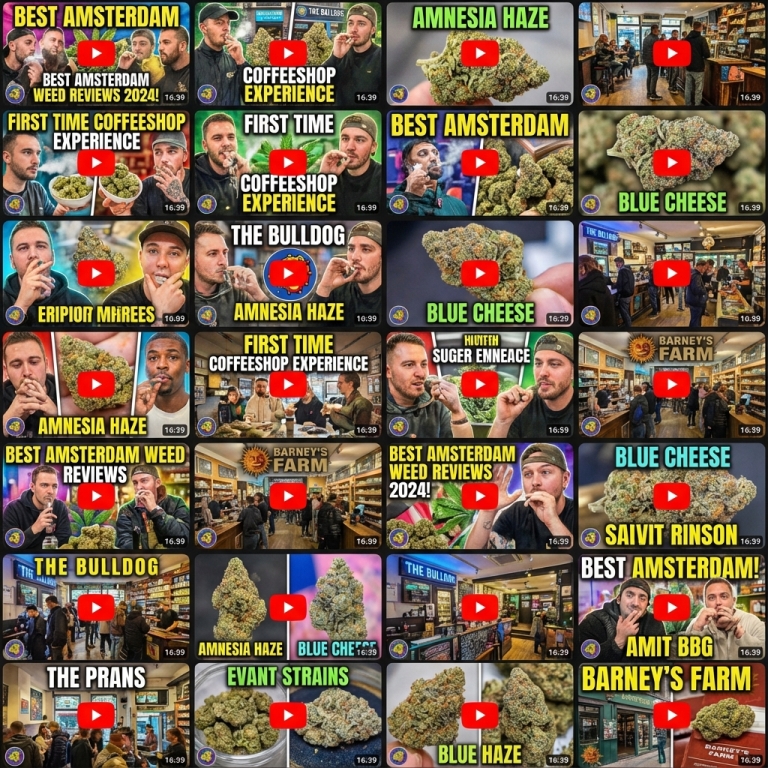 Video Reviews of Amsterdam Cannabis Dispensaries