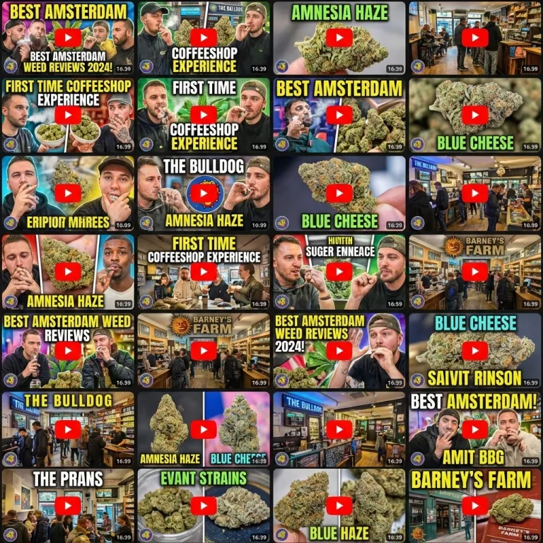 Video Reviews of Amsterdam Cannabis Dispensaries