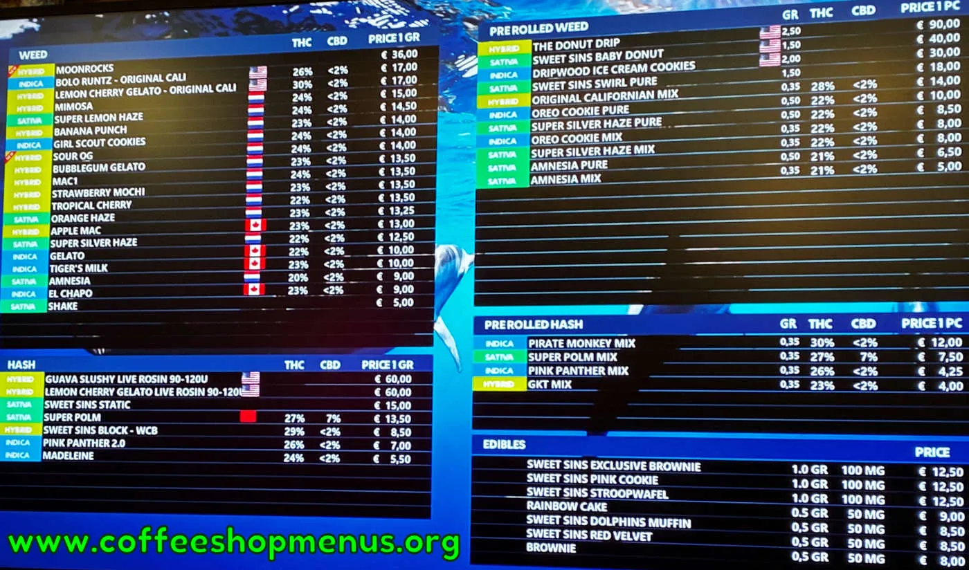 Dolphins Menu (Latest)