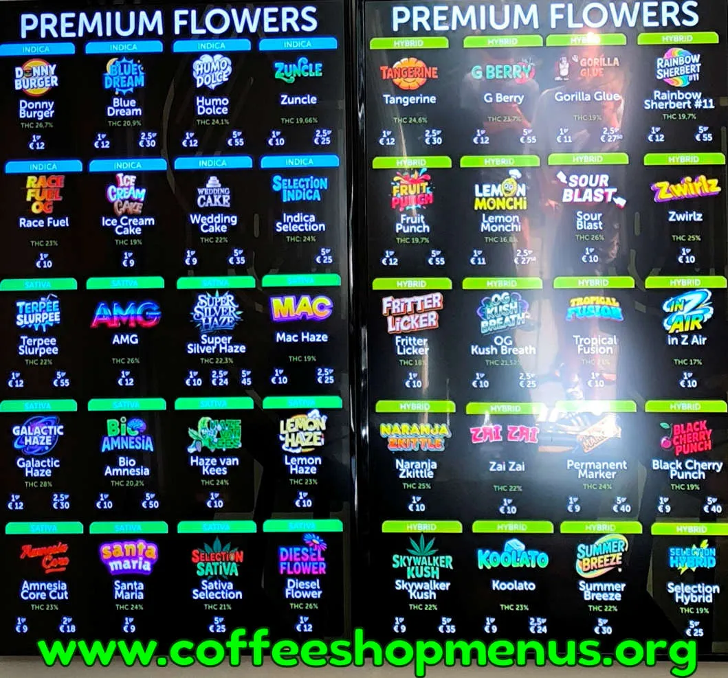 The Cat Menu (Previous)